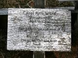 image of grave number 897387